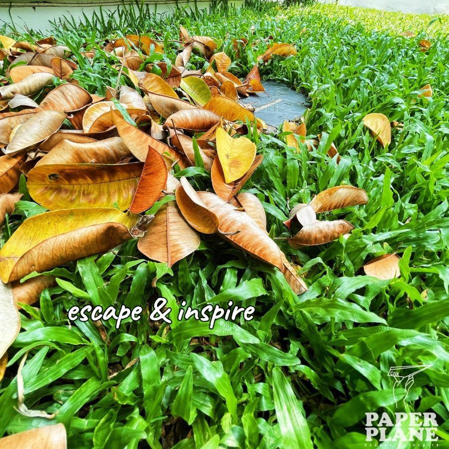 치앙마이 Paper Plane Cnx B&B 외부 사진